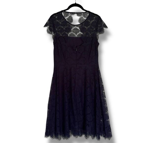 Kensie  Navy Blue Scalloped Lace Dress Size 6 Natural Waist - Picture 2 of 10